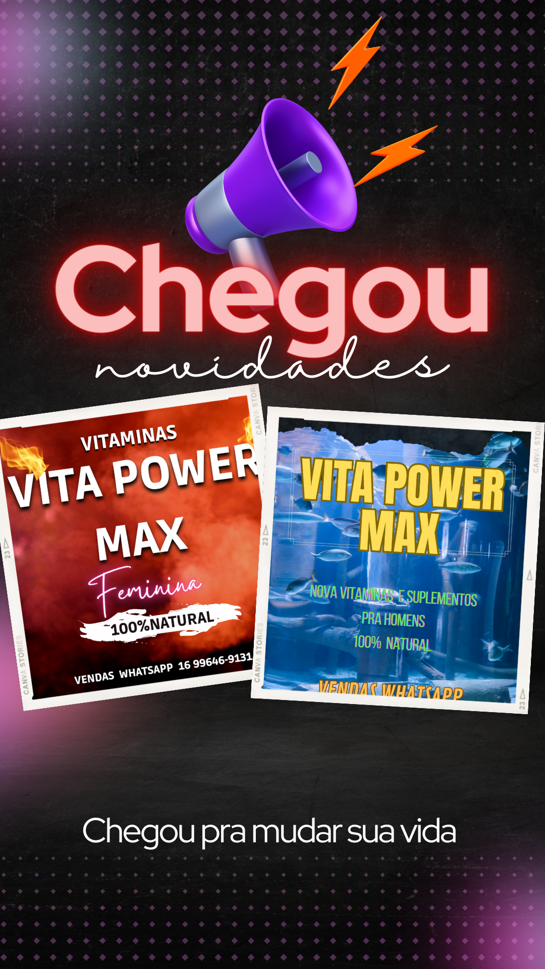 Vitaminas vitapowermax